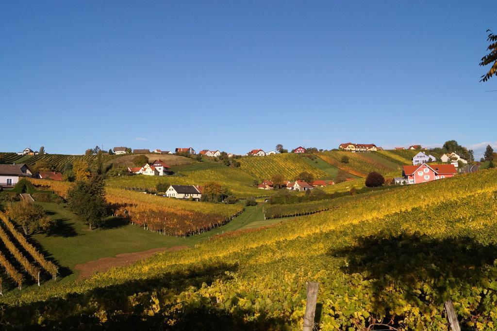 Apartamento Winzerhof Familie Kloeckl Klöch Exterior foto