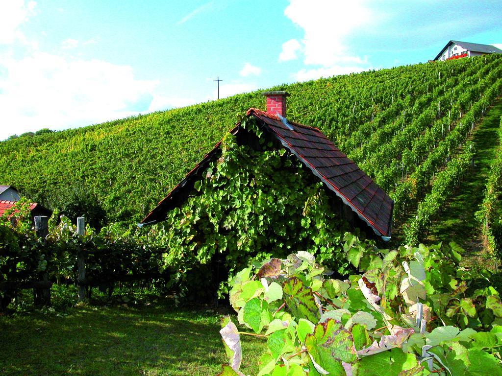 Apartamento Winzerhof Familie Kloeckl Klöch Exterior foto